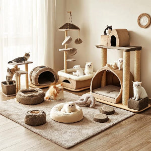 Cat play area with various cat furniture and toys in a room.