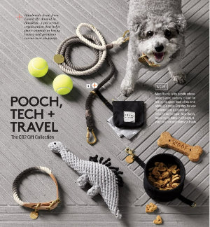 Dog toys and accessories on a wooden floor with a dog and CB2 branding.